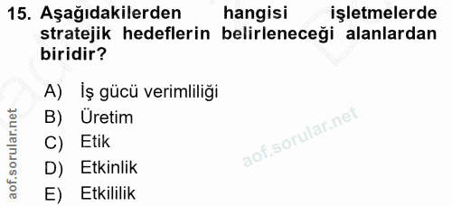 15. soru: Aşağıdakilerden hangisi işletmelerde stratejik hedeflerin belirleneceği alanlardan biridir? A) İş gücü verimliliği B)…