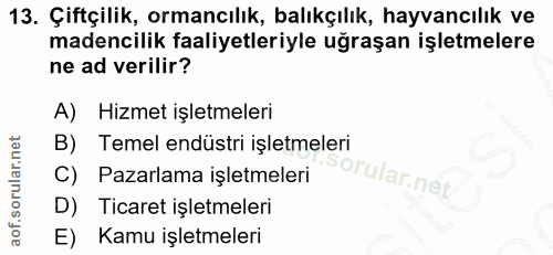 13. soru: Çiftçilik, ormancılık, balıkçılık, hayvancılık ve madencilik faaliyetleriyle uğraşan işletmelere ne ad verilir? A) Hi…