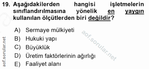 19. soru: Aşağıdakilerden hangisi işletmelerin sınıflandırılmasına yönelik en yaygın kullanılan ölçütlerden biri değildir? A) S…