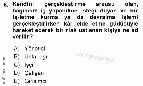 6. soru: Kendini gerçekleştirme arzusu olan, bağımsız iş yapabilme isteği duyan ve bir iş-letme kurma ya da devralma işlemi ge…