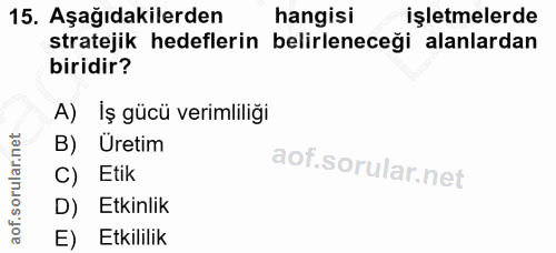 15. soru: Aşağıdakilerden hangisi işletmelerde stratejik hedeflerin belirleneceği alanlardan biridir? A) İş gücü verimliliği B)…