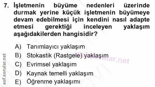 7. soru: İşletmenin büyüme nedenleri üzerinde durmak yerine küçük işletmenin büyümeye devam edebilmesi için kendini nasıl adap…
