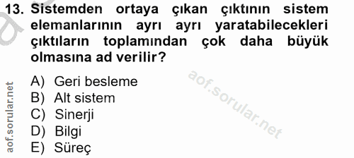 13. soru: Sistemden ortaya çıkan çıktının sistem elemanlarının ayrı ayrı yaratabilecekleri çıktıların toplamından çok daha büyü…