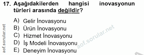 17. soru: Aşağıdakilerden hangisi inovasyonun türleri arasında değildir? A) Gelir Inovasyonu B) Ürün İnovasyonu D) Iș Modeli In…