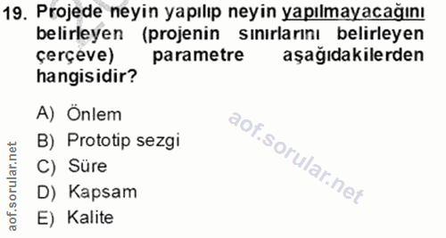 19. soru: Projede neyin yapılıp neyin yapılmayacağını belirleyen (projenin sınırlarını belirleyen çerçeve) parametre aşağıdakil…