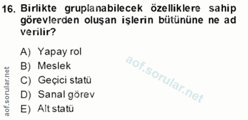 16. soru: Birlikte gruplanabilecek özelliklere sahip görevlerden oluşan işlerin bütününe ne ad verilir? A) Yapay rol B) Meslek…