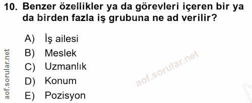 10. soru: Benzer özellikler ya da görevleri içeren bir ya da birden fazla iş grubuna ne ad verilir? A) İş ailesi B) Meslek C) U…