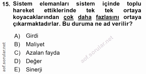 15. soru: Sistem elemanları sistem içinde toplu hareket ettiklerinde tek tek ortaya koyacaklarından çok daha fazlasını ortaya ç…