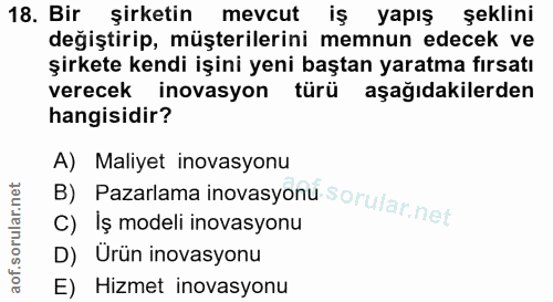 18. soru: Bir şirketin mevcut iş yapış şeklini değiştirip, müşterilerini memnun edecek ve şirkete kendi işini yeni baştan yarat…