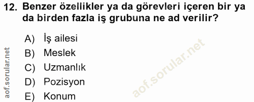 12. soru: Benzer özellikler ya da görevleri içeren bir ya da birden fazla iş grubuna ne ad verilir? A) Iş ailesi B) Meslek C) U…