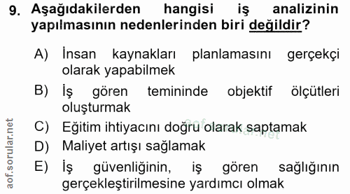 9. soru: Aşağıdakilerden hangisi iş analizinin yapılmasının nedenlerinden biri değildir? A) Insan kaynakları planlamasını gerç…