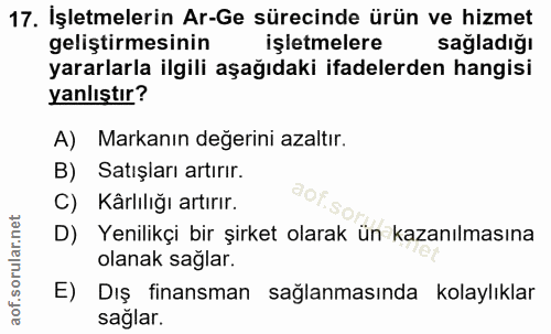 17. soru: İşletmelerin Ar-Ge sürecinde ürün ve hizmet geliştirmesinin işletmelere sağladığı yararlarla ilgili aşağıdaki ifadele…
