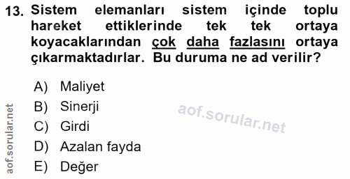 13. soru: Sistem elemanları sistem içinde toplu hareket ettiklerinde tek tek ortaya koyacaklarından çok daha fazlasını ortaya ç…