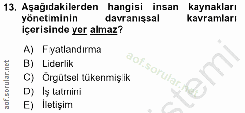 13. soru: Aşağıdakilerden hangisi insan kaynakları yönetiminin davranışsal kavramları içerisinde yer almaz? A) Fiyatlandırma B)…