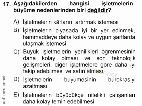 17. soru: Aşağıdakilerden hangisi işletmelerin büyüme nedenlerinden biri değildir? A) İşletmelerin kârlarını artırmak istemesi…