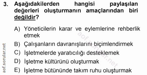 3. soru: Aşağıdakilerden hangisi paylaşılan değerleri oluşturmanın amaçlarından biri değildir? A) Yöneticilerin karar ve eylem…