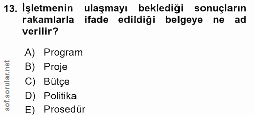 13. soru: İşletmenin ulaşmayı beklediği sonuçların rakamlarla ifade edildiği belgeye ne ad verilir? A) Program rular.net B) Pro…