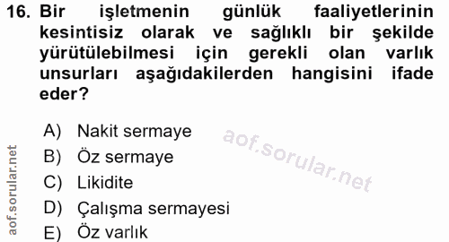 16. soru: Bir işletmenin günlük faaliyetlerinin kesintisiz olarak ve sağlıklı bir şekilde yürütülebilmesi için gerekli olan var…