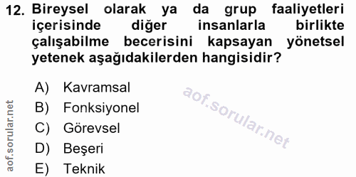 12. soru: Bireysel olarak ya da grup faaliyetleri içerisinde diger insanlarla birlikte çalışabilme becerisini kapsayan yönetsel…