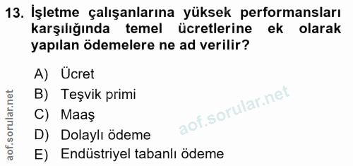 13. soru: İşletme çalışanlarına yüksek performansları karşılığında temel ücretlerine ek olarak yapılan ödemelere ne ad verilir?…