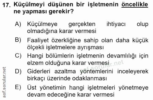 17. soru: Küçülmeyi düşünen bir işletmenin öncelikle ne yapması gerekir? A) Küçülmeye gerçekten ihtiyacı olup olmadığına karar…