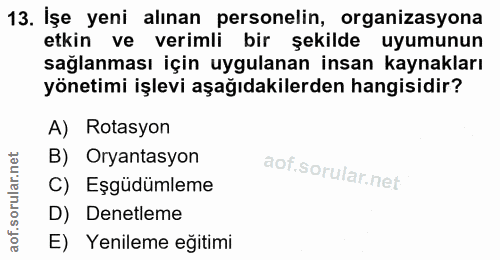 13. soru: İşe yeni alınan personelin, organizasyona etkin ve verimli bir şekilde uyumunun sağlanması için uygulanan insan kayna…
