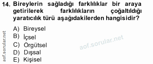 14. soru: Bireylerin sağladığı farklılıklar bir araya getirilerek farklılıkların çoğaltıldığı yaratıcılık türü aşağıdakilerden…