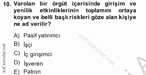 10. soru: Varolan bir örgüt içerisinde girişim ve yenilik etkinliklerinin toplamını ortaya koyan ve belli başlı riskleri göze a…