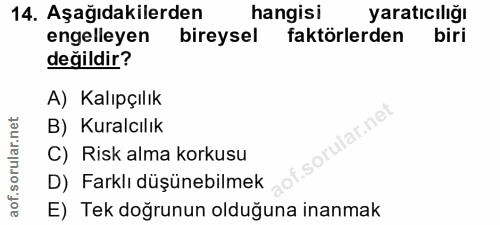 14. soru: Aşağıdakilerden hangisi yaratıcılığı engelleyen bireysel faktörlerden biri değildir? A) Kalıpçılık B) Kuralcılık C) R…