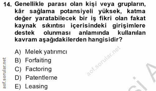 14. soru: Genellikle parası olan kişi veya grupların, kâr sağlama potansiyeli yüksek, katma değer yaratabilecek bir iş fikri ol…