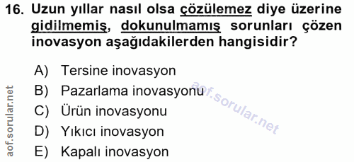 16. soru: Uzun yıllar nasıl olsa çözülemez diye üzerine gidilmemiş, dokunulmamış sorunları çözen inovasyon aşağıdakilerden hang…