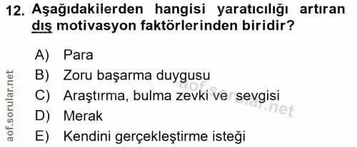 12. soru: Aşağıdakilerden hangisi yaratıcılığı artıran dış motivasyon faktörlerinden biridir? A) Para B) Zoru başarma duygusu C…