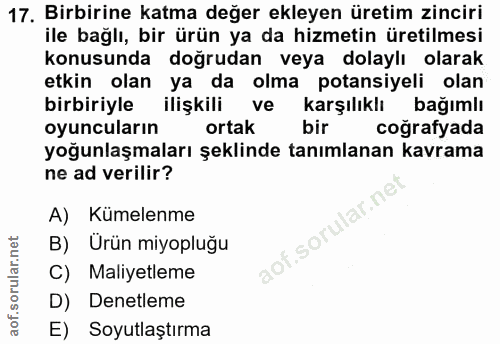 17. soru: Birbirine katma değer ekleyen üretim zinciri ile bağlı, bir ürün ya da hizmetin üretilmesi konusunda doğrudan veya do…