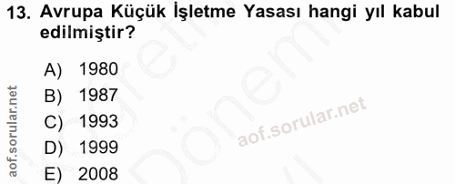 13. soru: Avrupa Küçük İşletme Yasası hangi yıl kabul edilmiştir? A) 1980 B) 1987 C) 1993 D) 1999 E) 2008