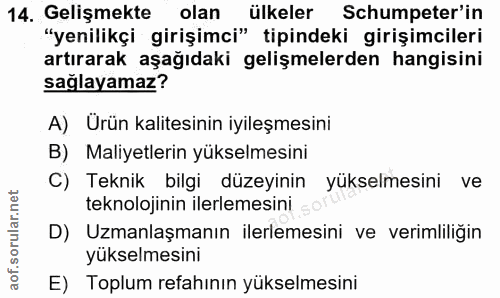 14. soru: Gelişmekte olan ülkeler Schumpeter'in "yenilikçi girişimci" tipindeki girişimcileri artırarak aşağıdaki gelişmelerden…