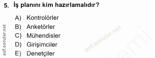 5. soru: İş planını kim hazırlamalıdır? A) Kontrolörler B) Anketörler C) Muhendisler D) Girişimciler E) Denetçiler