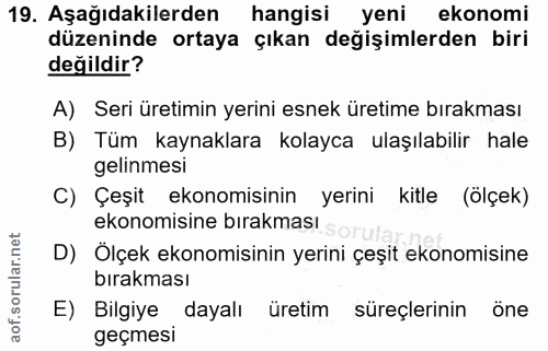 19. soru: Aşağıdakilerden hangisi yeni ekonomi düzeninde ortaya çıkan değişimlerden biri değildir? A) Seri üretimin yerini esne…