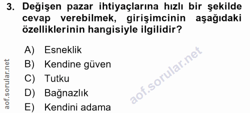 3. soru: Değişen pazar ihtiyaçlarına hızlı bir şekilde cevap verebilmek, girişimcinin aşağıdaki özelliklerinin hangisiyle ilgi…