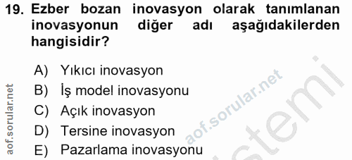 19. soru: Ezber bozan inovasyon olarak tanımlanan inovasyonun diğer adı aşağıdakilerden hangisidir? A) Yıkıcı inovasyon B) İş m…