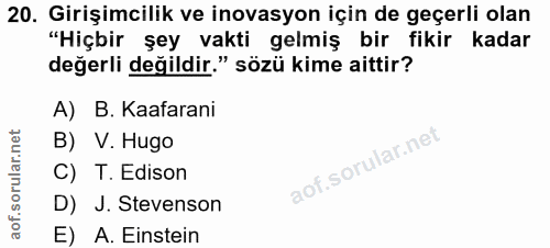 20. soru: Girişimcilik ve inovasyon için de geçerli olan "Hiçbir şey vakti gelmiş bir fikir kadar değerli değildir." sözü kime…