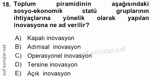 18. soru: Toplum piramidinin aşağısındaki sosyo-ekonomik statü gruplarının ihtiyaçlarına yönelik olarak yapılan inovasyona ne a…