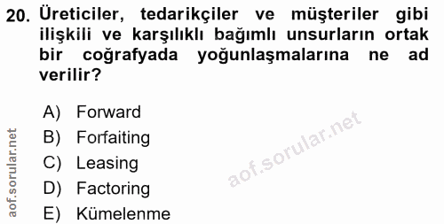 20. soru: Ureticiler, tedarikçiler ve müşteriler gibi ilişkili ve karşılıklı bağımlı unsurların ortak bir coğrafyada yoğunlaşma…