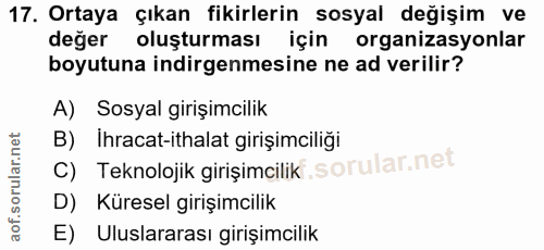 17. soru: Ortaya çıkan fikirlerin sosyal değişim ve değer oluşturması için organizasyonlar boyutuna indirgenmesine ne ad verili…