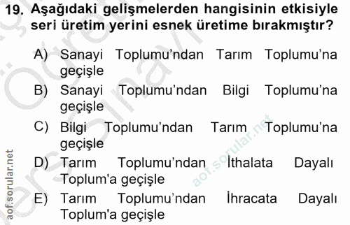 19. soru: Aşağıdaki gelişmelerden hangisinin etkisiyle seri üretim yerini esnek üretime bırakmıştır? A) Sanayi Toplumu'ndan Tar…