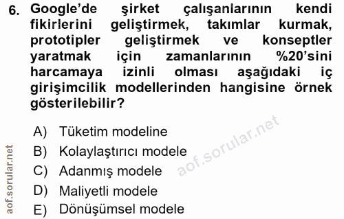 6. soru: Google'de şirket çalışanlarının kendi fikirlerini geliştirmek, takımlar kurmak, prototipler geliştirmek ve konseptler…