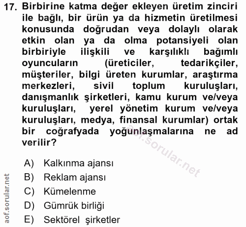 17. soru: Birbirine katma değer ekleyen üretim zinciri ile bağlı, bir ürün ya da hizmetin üretilmesi konusunda doğrudan veya do…