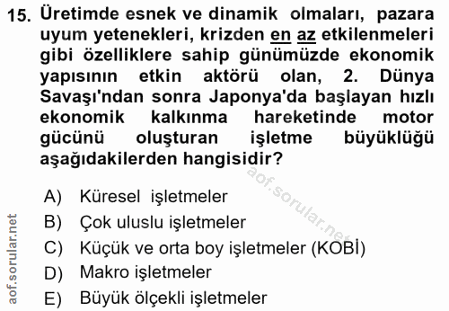 15. soru: Uretimde esnek ve dinamik olmaları, pazara uyum yetenekleri, krizden en az etkilenmeleri gibi özelliklere sahip günüm…