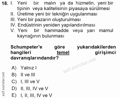 18. soru: I. Yeni bir malın ya da hizmetin, yeni bir tipinin veya kalitelisinin piyasaya sürülmesi II. Uretime yeni bir tekniği…