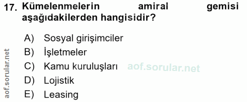 17. soru: Kümelenmelerin amiral gemisi aşağıdakilerden hangisidir? A) Sosyal girişimciler orular.net B) İşletmeler C) Kamu kuru…