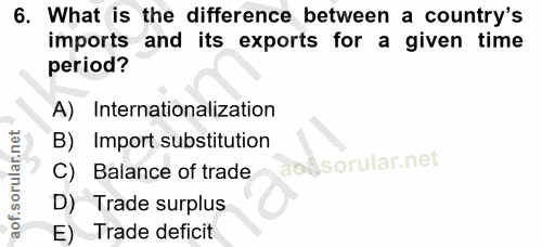 6. soru: What is the difference between a country's imports and its exports for a given time period? A) Internationalization B…